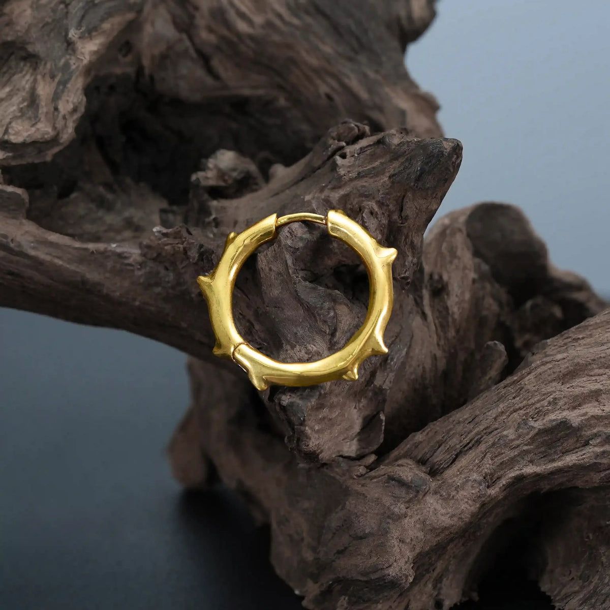 ANCIENT THORN HOOPS