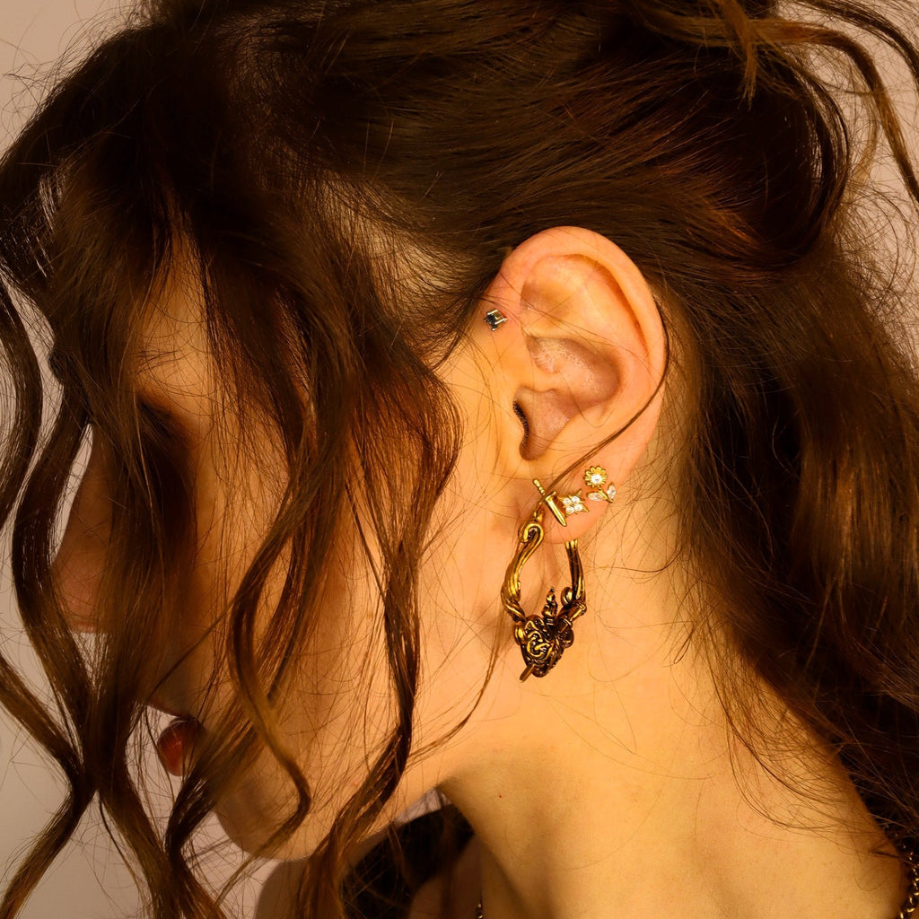 PASSIONATE HEART EARRINGS